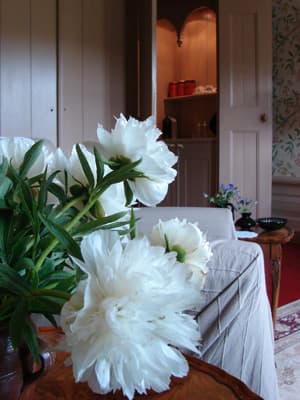 Landgoedlogies Pábema - Foto 5