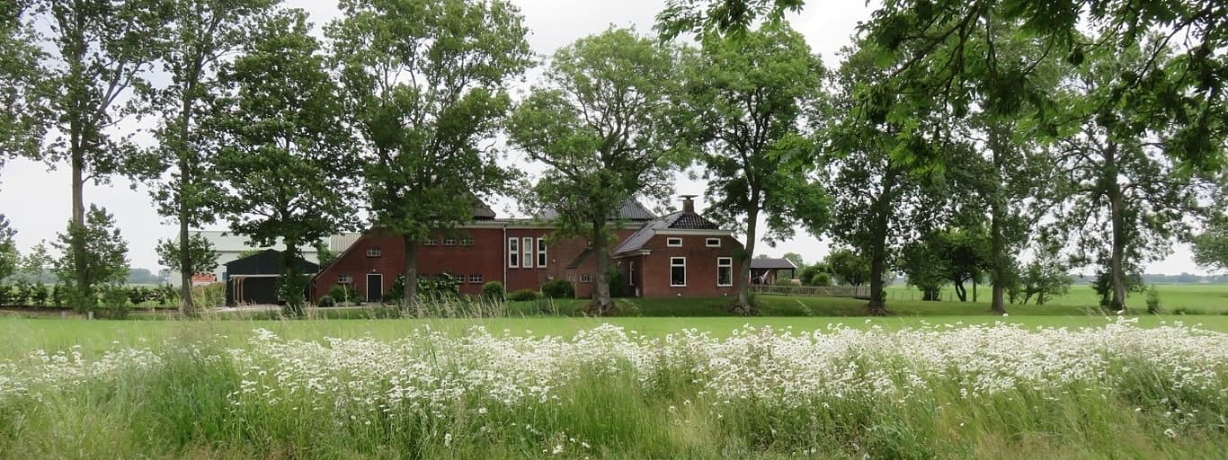 Albertsmaheert - Hoofdfoto