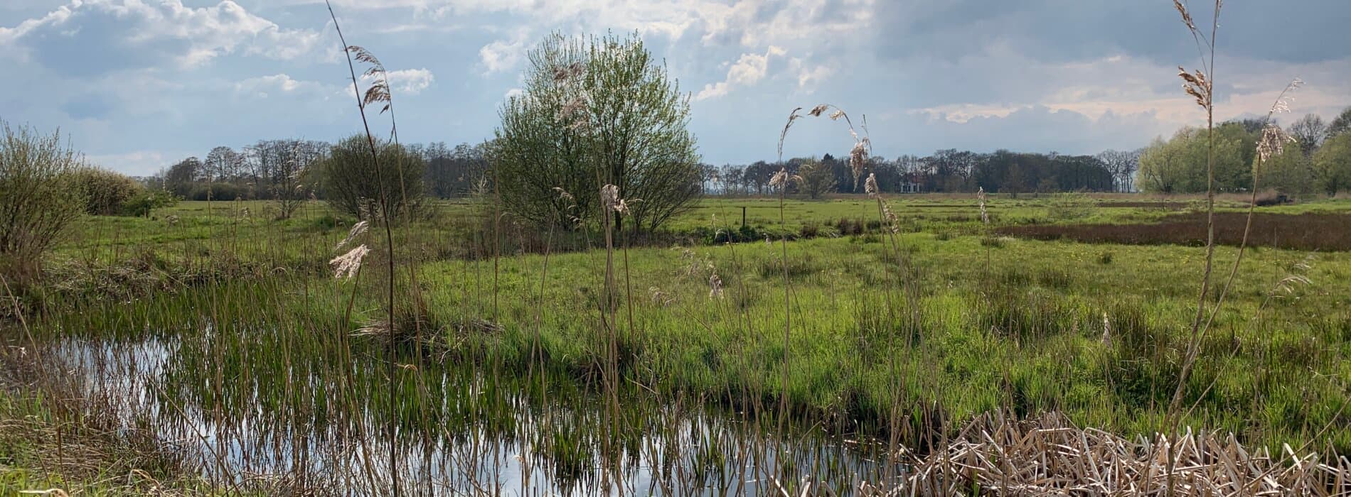 Boeren Maison Bed and Breakfast - Foto 2
