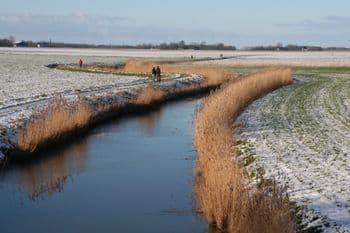 Bed and Breakfast Anno 1887 - Foto 3