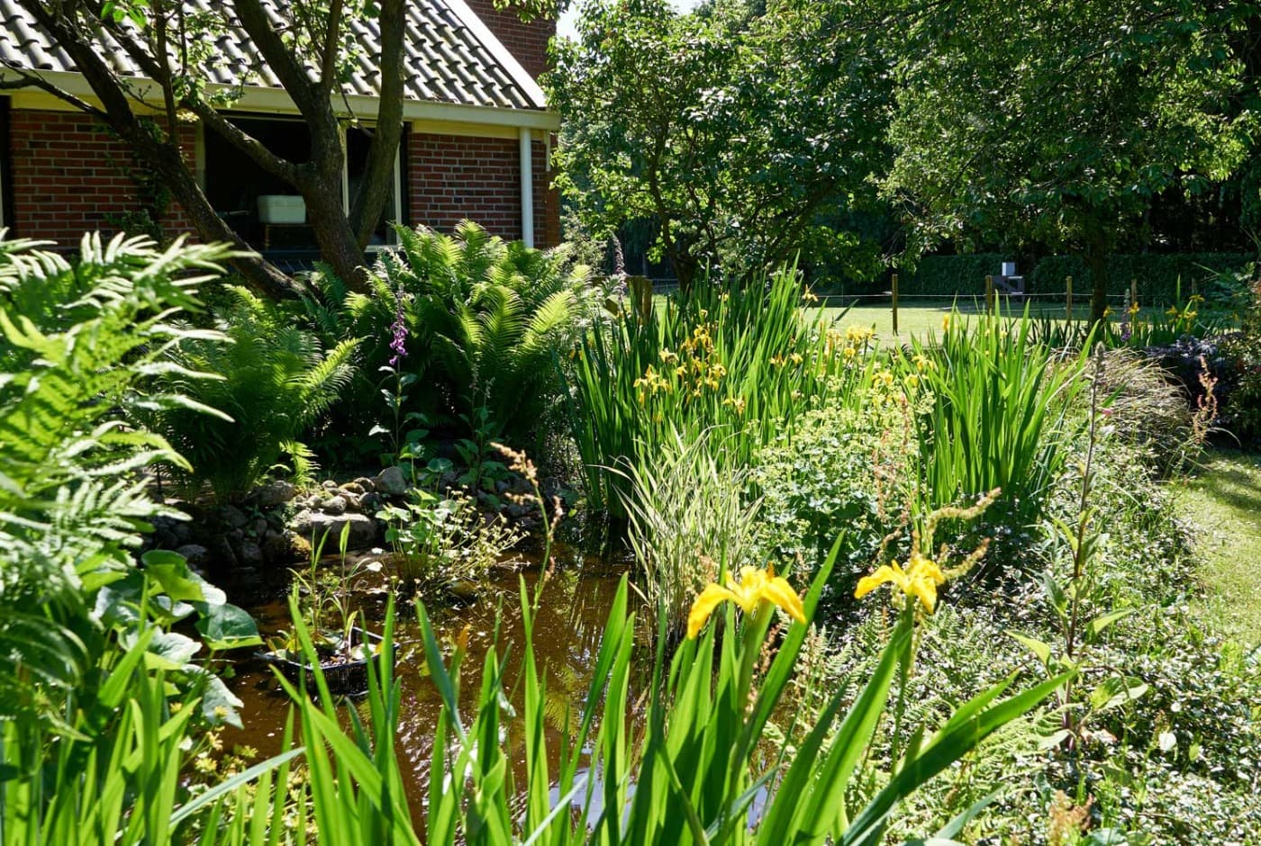 Vledderstee - bed and breakfast - Hoofdfoto