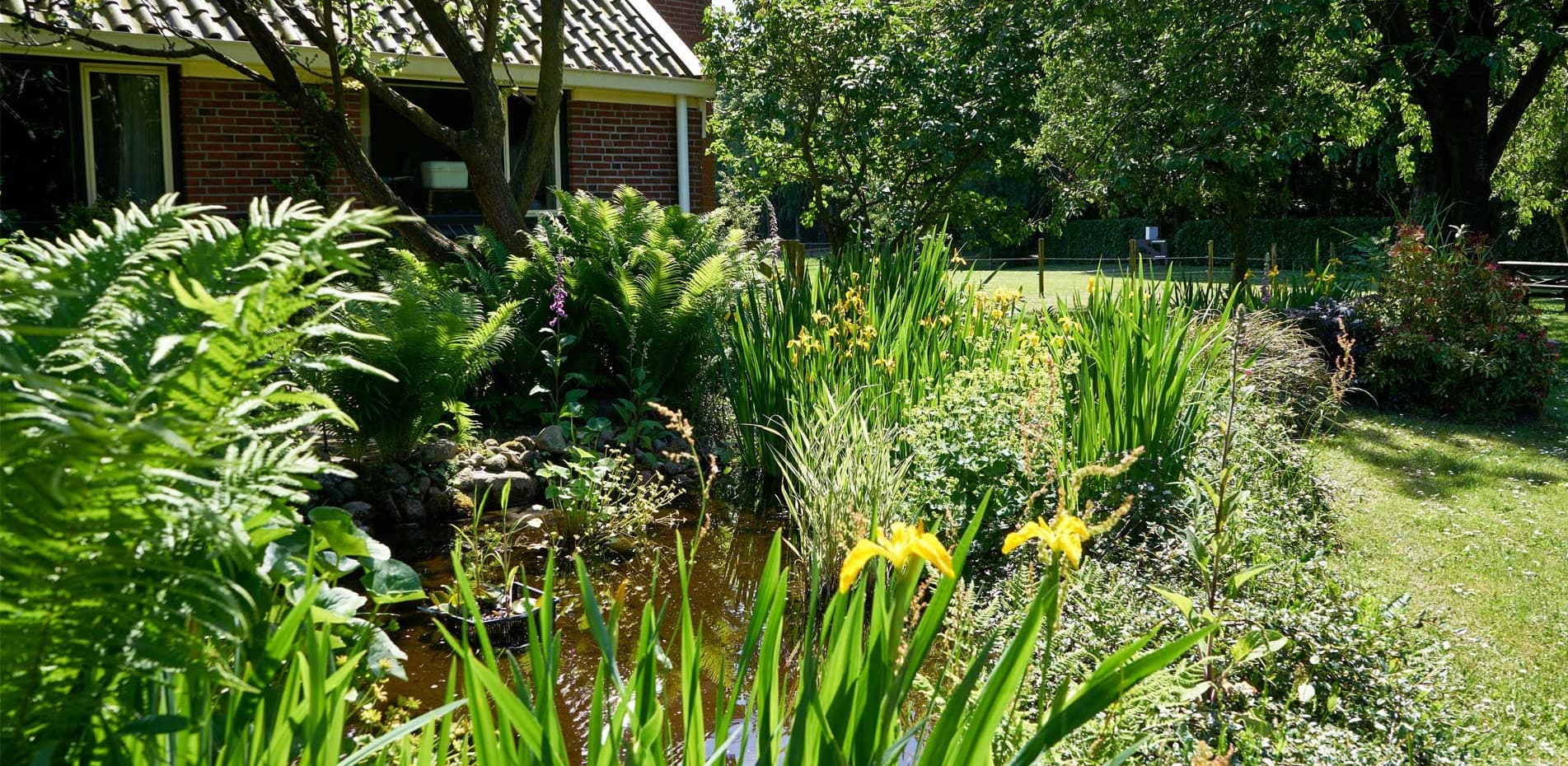 Vledderstee - bed and breakfast - Foto 2