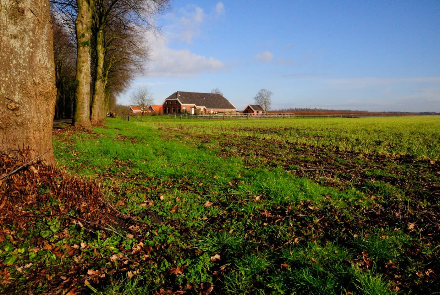 Vledderstee - bed and breakfast - Foto 4