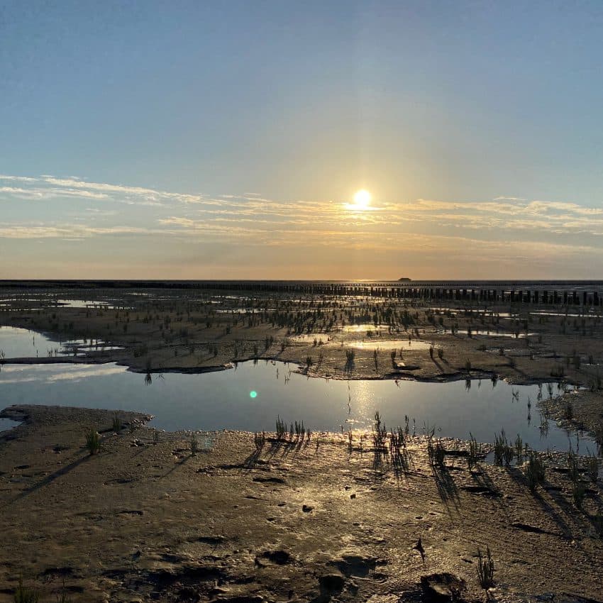 Landgoed Wilgenheerd - Foto 4