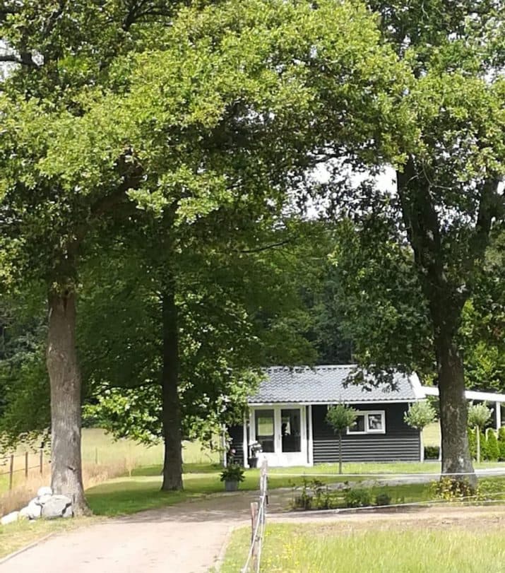 B&B Stripsein