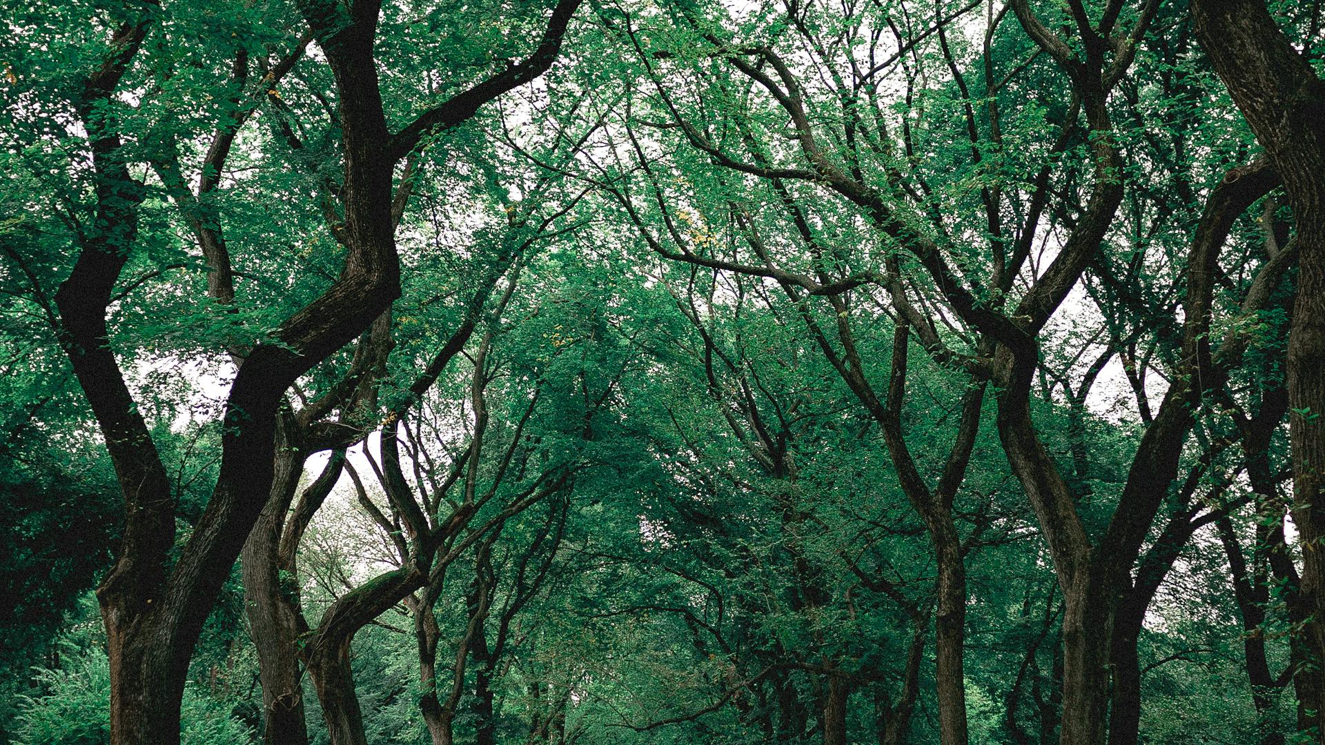 De prachtige natuur rondom Groningen